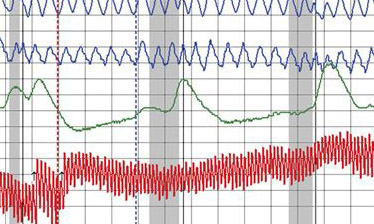 Scottsdale lie detector test